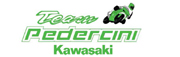 Logo_TeamPedercini2
